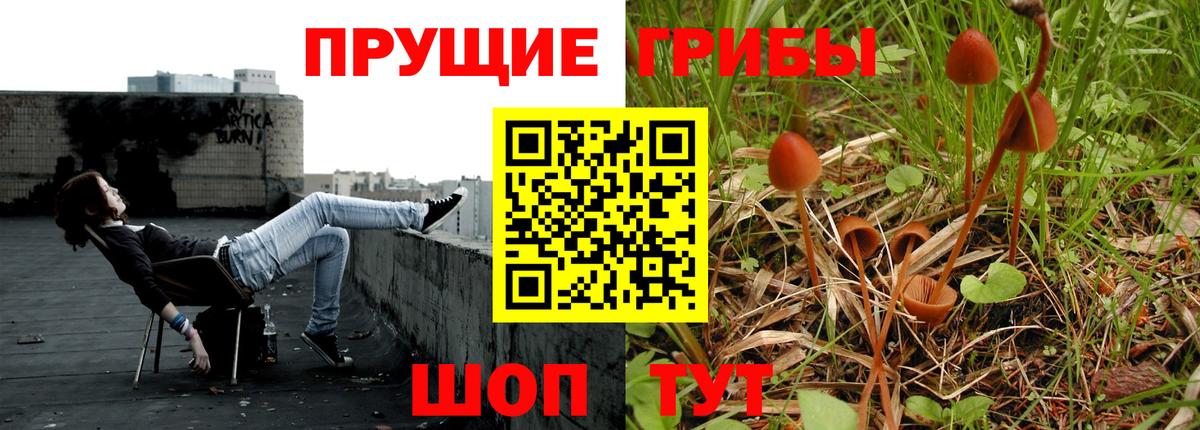 Жуковский  Галлюциногенные грибы MAGIC MUSHROOMS  Вход с VPN 