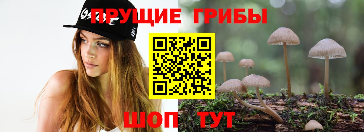 Псилоцибиновые грибы Psilocybe Жуковский